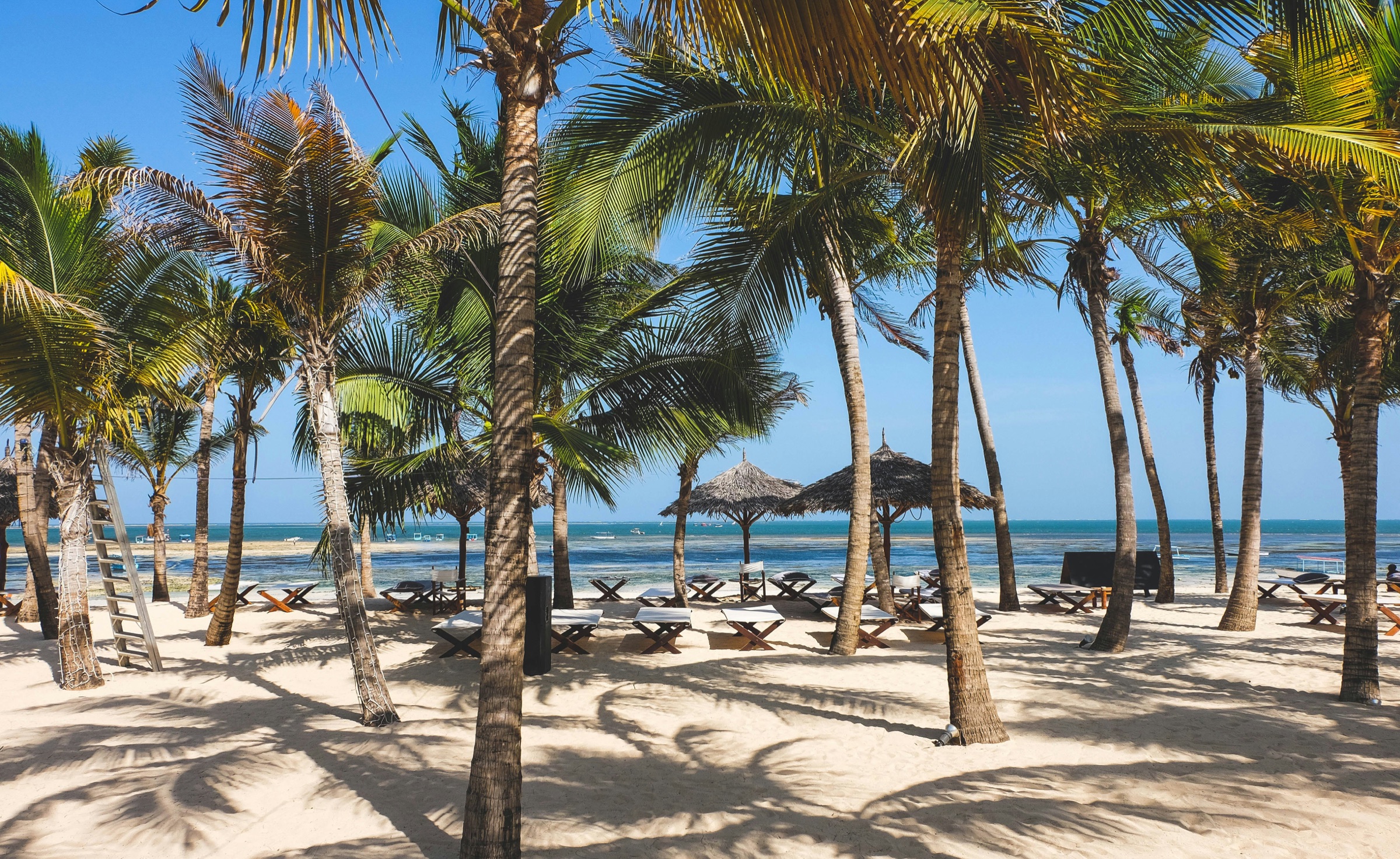 Palm trees and white sand beside the Indian Ocean on Kenya's coast